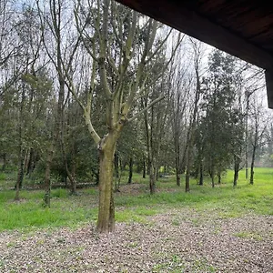  Appartamento Woods Italia